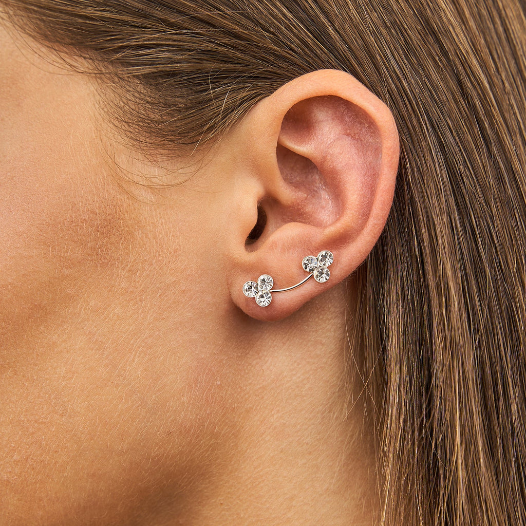 Brincos Corridos Flores Zircónia