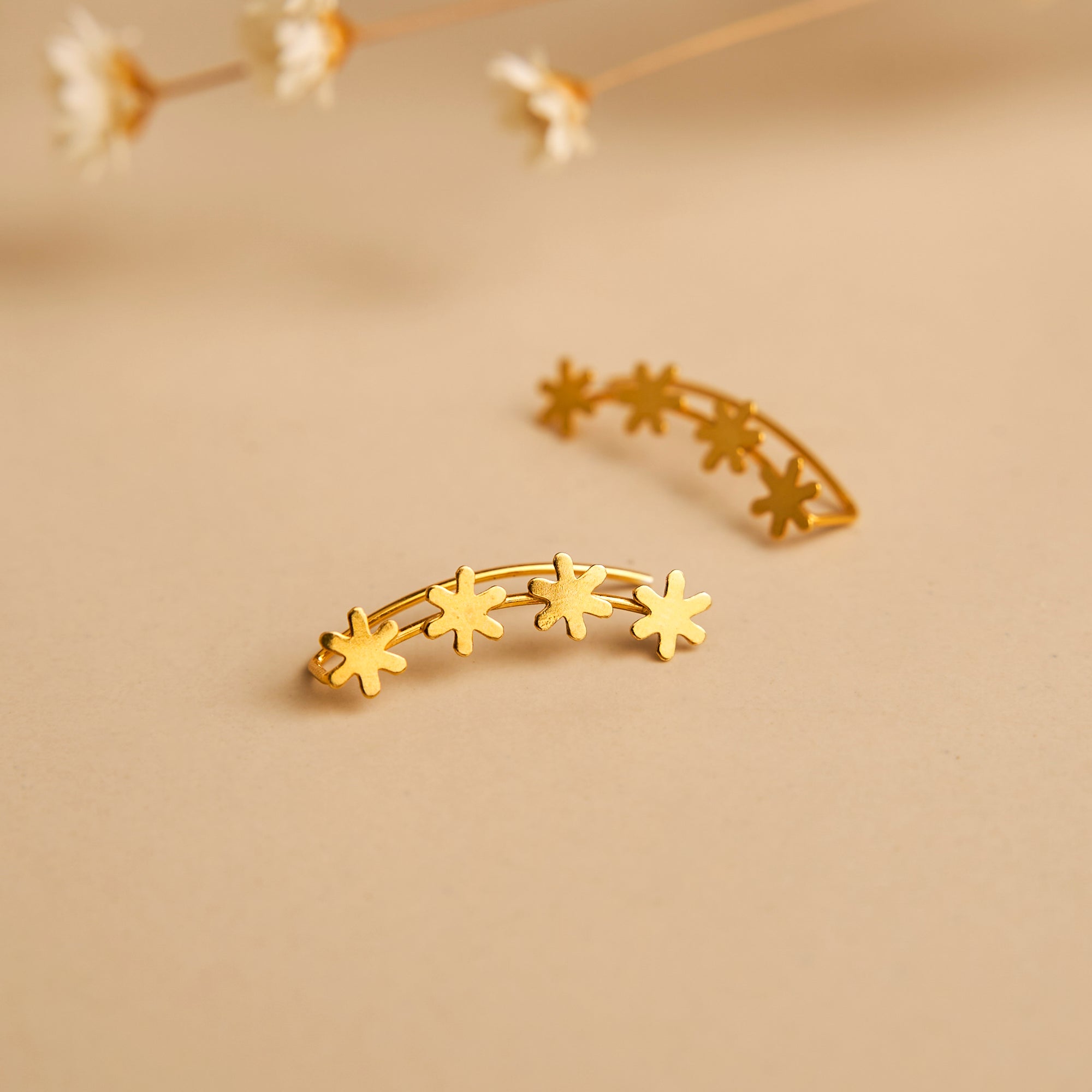 Brincos Corridos Flores