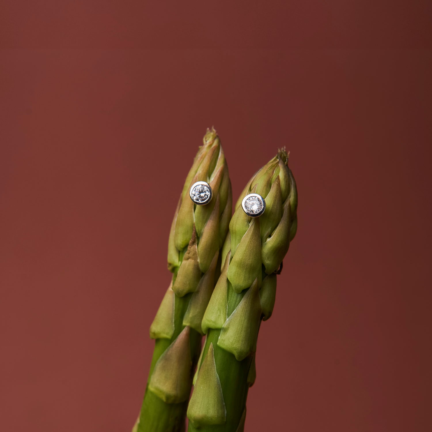 Brincos Mini Ponto de Luz