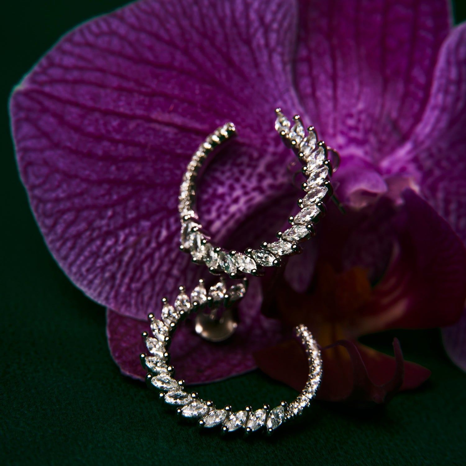 Brincos Twist and Shine